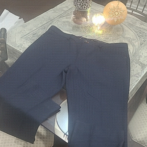 NEW LE CHATEAU TEXTURED DRESS PANTS SIZE 33